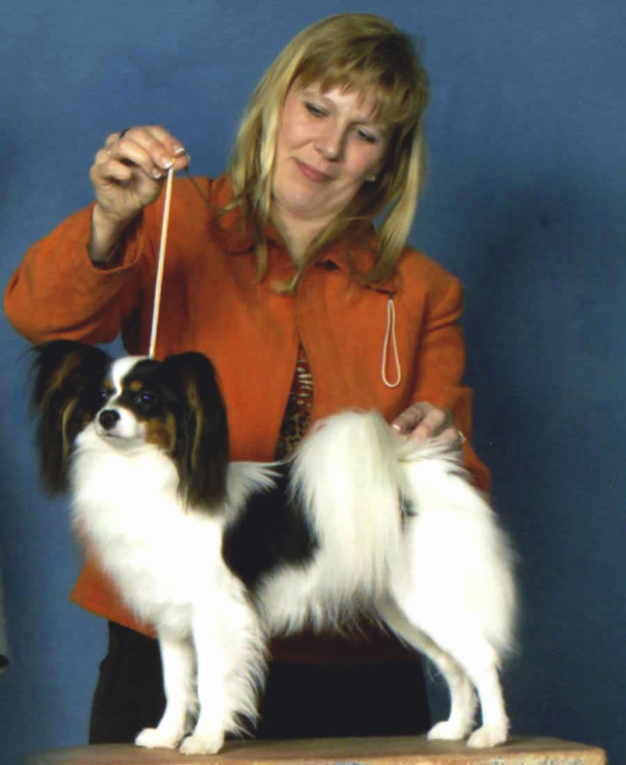 Female Papillon Breeder