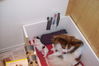 100_2045.jpg