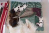 100_2050.jpg
